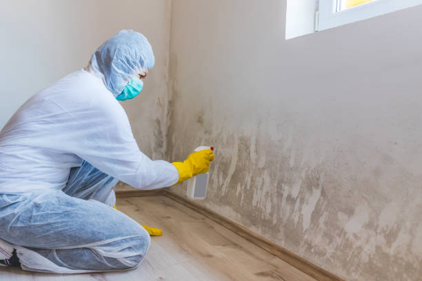 Hvac And Air Duct Mold Remediation inspection of HVAC system in Hacksneck